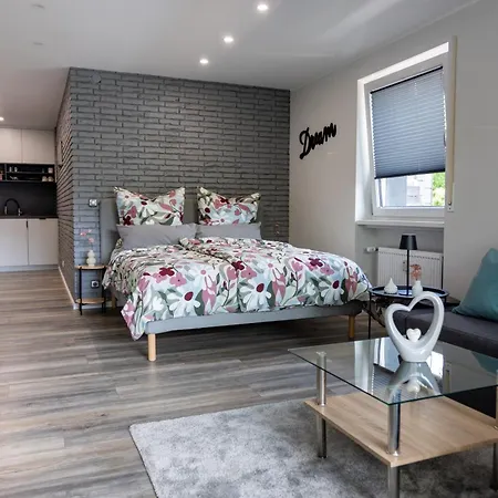 Harzerfuellt In Hahnenklee Lejlighed Goslar